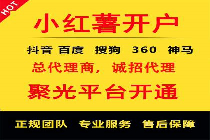 头条信息流行业趋势洞察